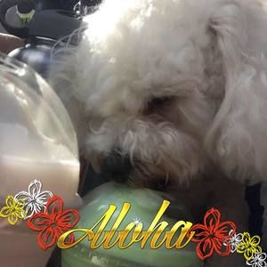 Meet your Posher, Kellie